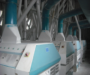 250t corn flour mill