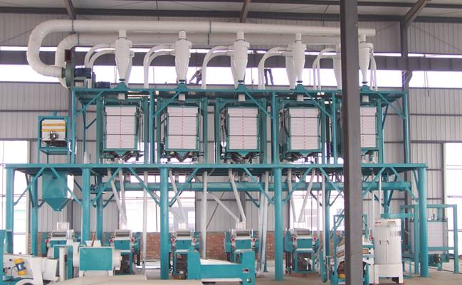 50T wheat flour mill