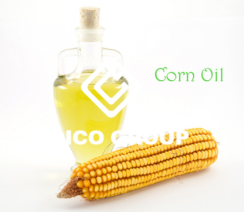 Corn Oil Extraction 