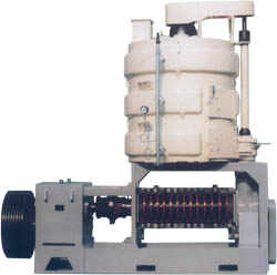 Large Palm Kernel Oil Press