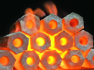 briquettes fuel