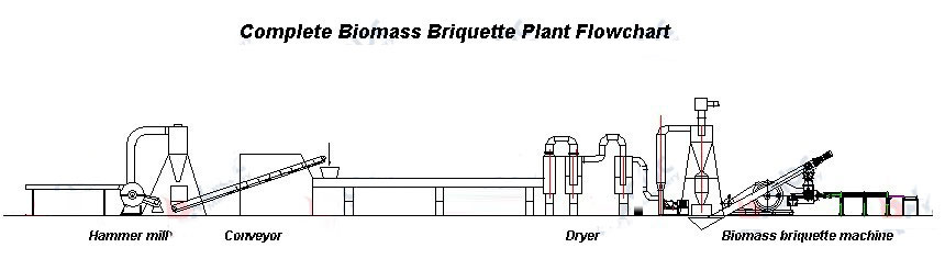 complete biomass briquette plant