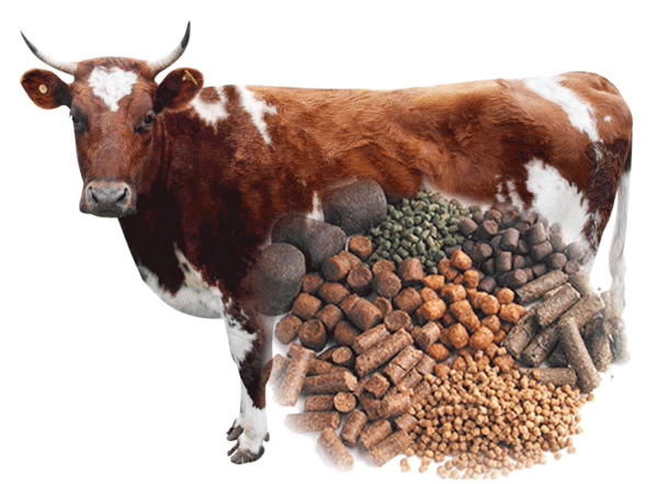 Feed pellets