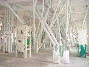 first floor of flour mill plant