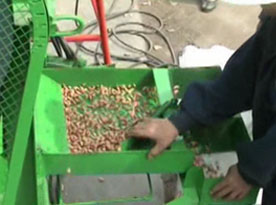 peanut shelling machine