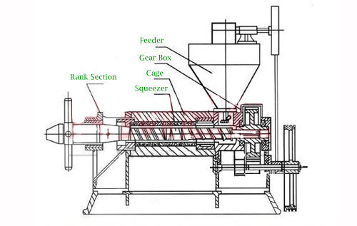 structure of screw oil press