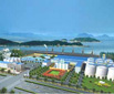 Oil Mill Plant