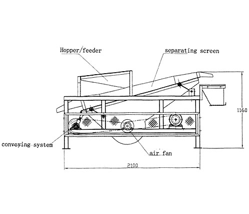 Almond Processing Flow Chart